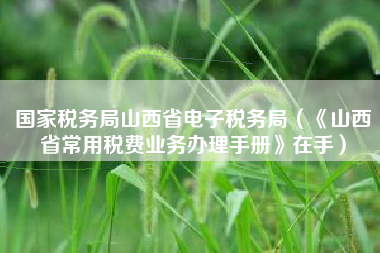 国家税务局山西省电子税务局（《山西省常用税费业务办理手册》在手）