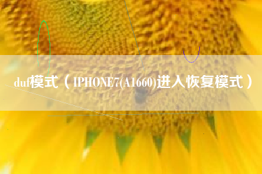 duf模式（IPHONE7(A1660)进入恢复模式）