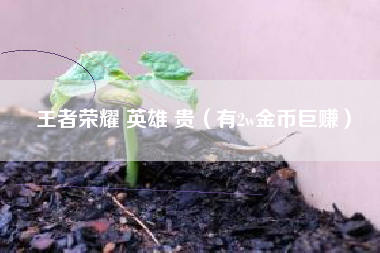 王者荣耀 英雄 贵（有2w金币巨赚）