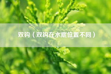 双钩（双钩在水底位置不同）