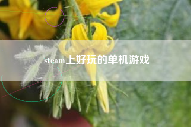 steam上好玩的单机游戏