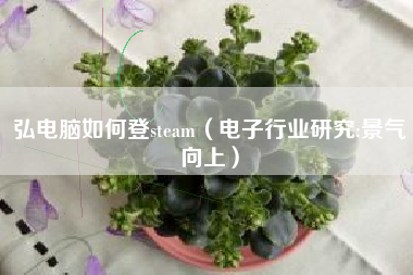 弘电脑如何登steam（电子行业研究:景气向上）