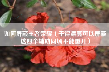 如何屏蔽王者荣耀（干得漂亮可以屏蔽这四个辅助同场不能重开）