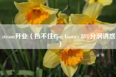 steam开业（挡不住Epic Games 88%分润诱惑）