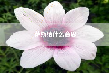 萨斯给什么意思