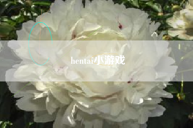 hentai小游戏