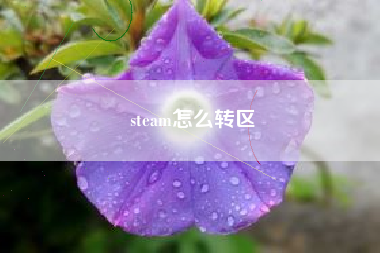 steam怎么转区