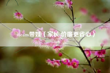 steam带娃（家长:价廉更省心）