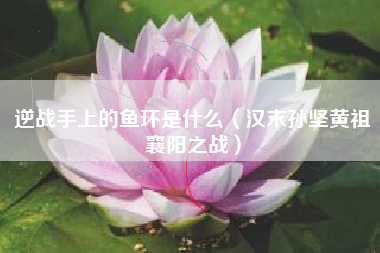 逆战手上的鱼环是什么（汉末孙坚黄祖襄阳之战）