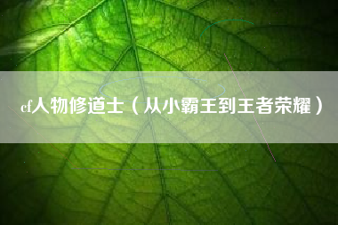 cf人物修道士（从小霸王到王者荣耀）