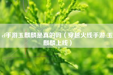 cf手游玉麒麟是真的吗（穿越火线手游:玉麒麟上线）