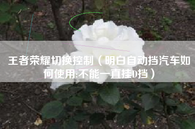 王者荣耀切换控制（明白自动挡汽车如何使用:不能一直挂D挡）