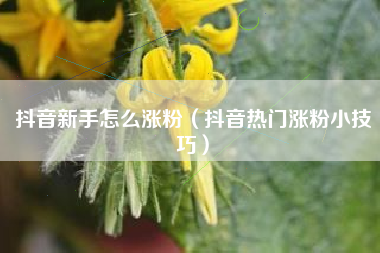 抖音新手怎么涨粉（抖音热门涨粉小技巧）