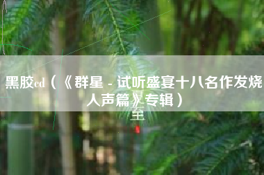 黑胶cd（《群星 - 试听盛宴十八名作发烧人声篇》专辑）