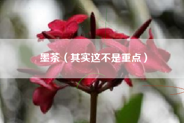 墨茶（其实这不是重点）