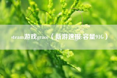 steam游戏grace（新游速报:容量91G）