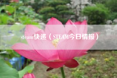 steam快递（STEAM今日情报）