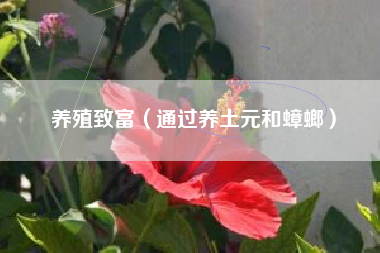 养殖致富（通过养土元和蟑螂）