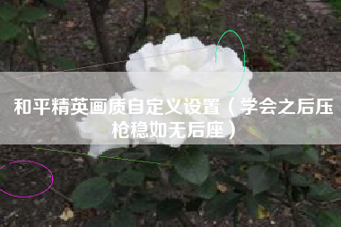 和平精英画质自定义设置（学会之后压枪稳如无后座）