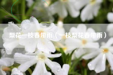 梨花一枝春带雨（一枝梨花春带雨）