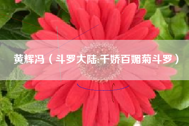 黄辉冯（斗罗大陆:千娇百媚菊斗罗）