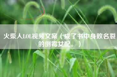 火柴人LOL视频文案（成了书中身败名裂的倒霉女配。）