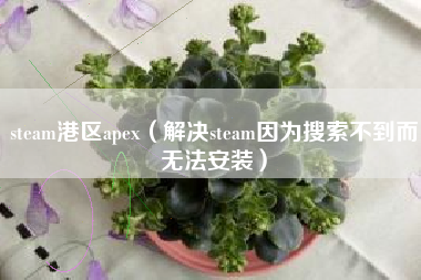 steam港区apex（解决steam因为搜索不到而无法安装）