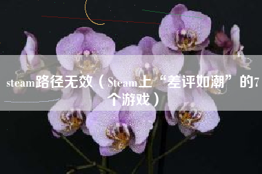 steam路径无效（Steam上“差评如潮”的7个游戏）