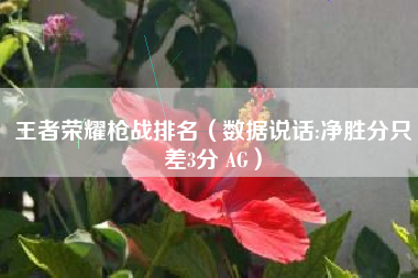 王者荣耀枪战排名（数据说话:净胜分只差3分 AG）