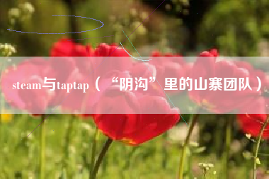 steam与taptap（“阴沟”里的山寨团队）