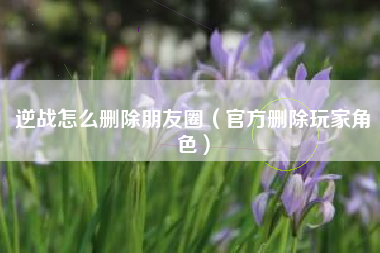 逆战怎么删除朋友圈（官方删除玩家角色）