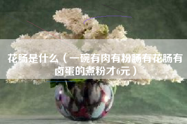 花肠是什么（一碗有肉有粉肠有花肠有卤蛋的煮粉才6元）