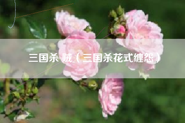 三国杀 贼（三国杀花式缠怨）