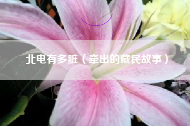 北电有多脏（牵出的藏民故事）