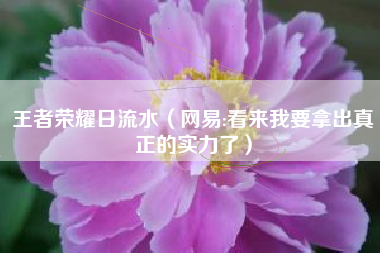 王者荣耀日流水（网易:看来我要拿出真正的实力了）