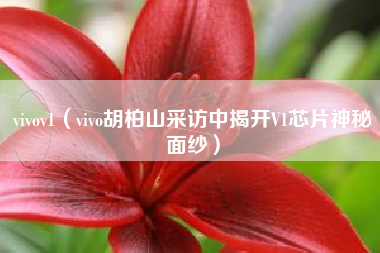 vivov1（vivo胡柏山采访中揭开V1芯片神秘面纱）