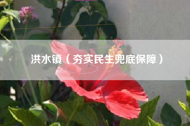 洪水镇（夯实民生兜底保障）