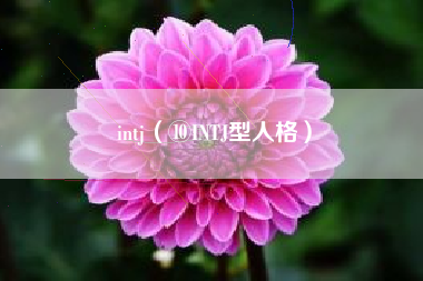 intj（⑩INTJ型人格）