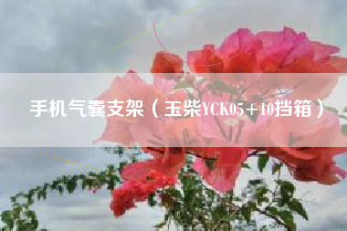 手机气囊支架（玉柴YCK05+10挡箱）