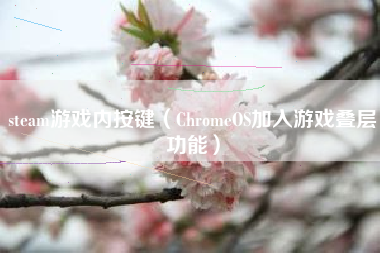 steam游戏内按键（ChromeOS加入游戏叠层功能）