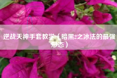 逆战天神手套教学（暗黑2之冰法的最强形态）