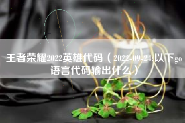 王者荣耀2022英雄代码（2022-09-24:以下go语言代码输出什么）