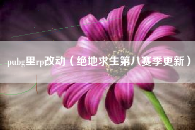 pubg里rp改动（绝地求生第八赛季更新）