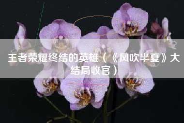 王者荣耀终结的英雄（《风吹半夏》大结局收官）