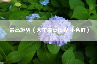 最高境界（人生最高境界:不合群）