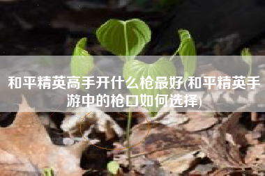 和平精英高手开什么枪最好(和平精英手游中的枪口如何选择)