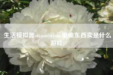 生活模拟器steam(steam里偷东西卖是什么游戏)