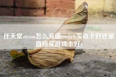 任天堂steam怎么充值(switch买点卡好还是直接买游戏卡好)