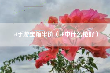 cf手游宝箱半价（cF中什么枪好）