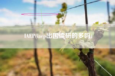 IAEP(iaep出国读研的多吗)